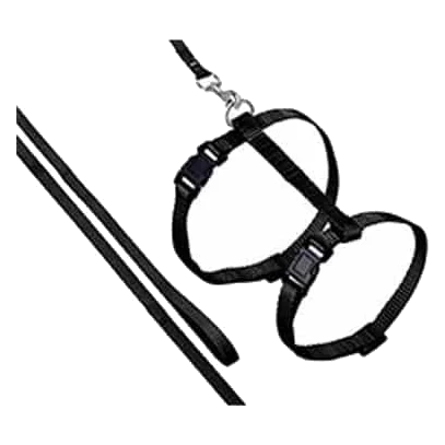 Black cat harness and lead set