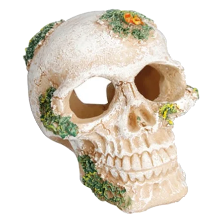 Skull aquarium ornament