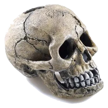 Skull aquarium ornament