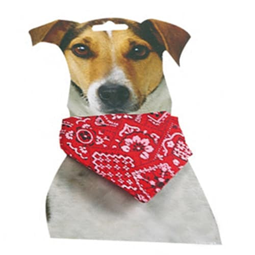 Red dog collar with bandana, size 1, 22–35 cm