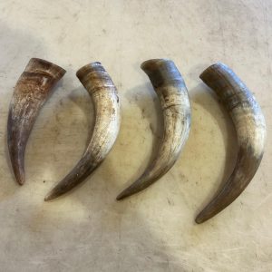 Large beef horn dog chews