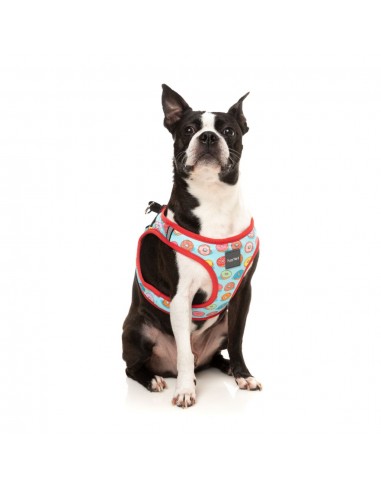 FuzzYard You Drive Me Glazy step-in dog harness with reflective strips