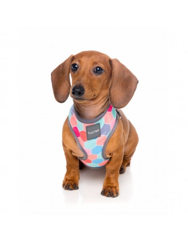 Breathable Lycra dog harness FuzzYard The Hive