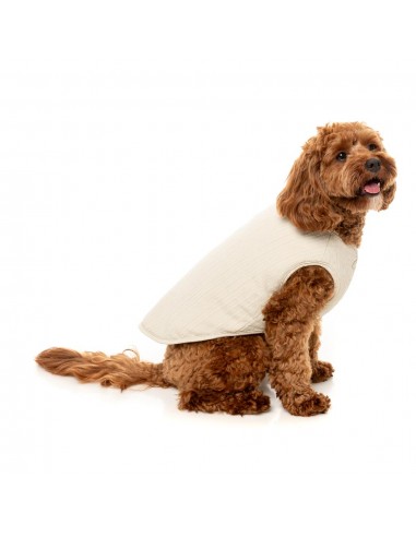 FuzzYard Umeda Reversible Dog Gilet, Bone