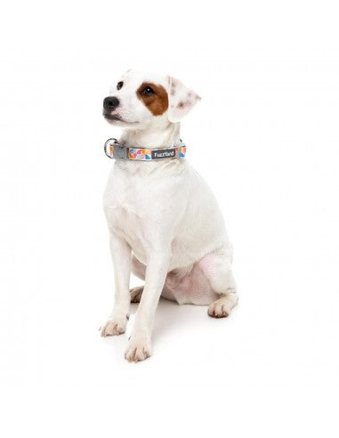 FuzzYard Fresh Zest neoprene dog collar (size L)