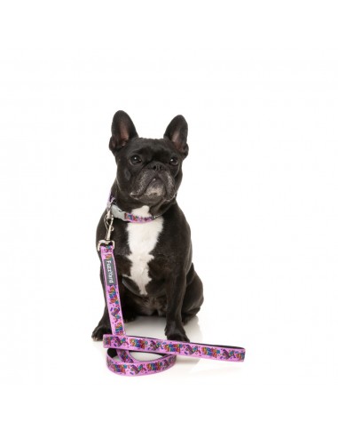 FuzzYard Fiesta neoprene dog lead (size L)