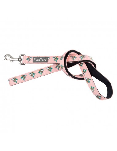 FuzzYard LL Cool Jaw$ neoprene dog lead (size L)