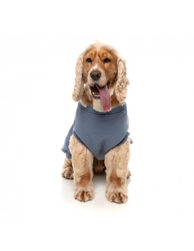 FuzzYard Allday 25 Cotton Dog Jumper in Blue
