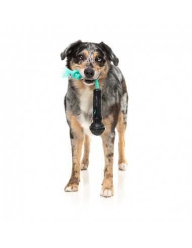 Interactive dog toy FuzzYard Mic Drop with rope and squeaker
