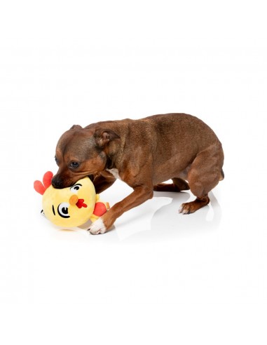 FuzzYard Noggins Hen Diesel Squeaky Plush Dog Toy