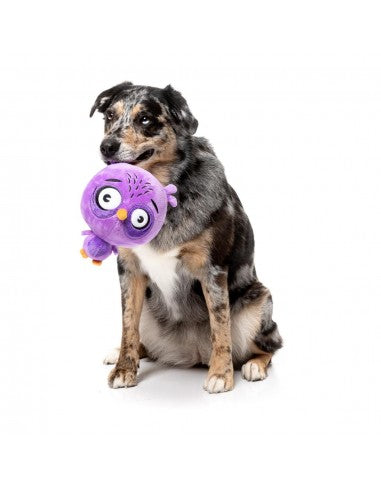 FuzzYard Noggins Hoo Dini Squeaky Plush Dog Toy