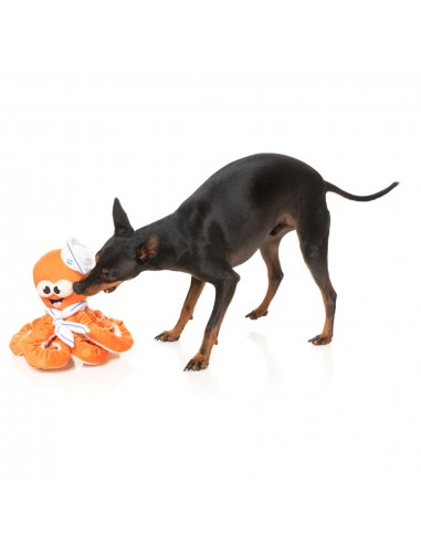 FuzzYard Octo-Pose Sailor Squiggles Octopus Squeaky Plush Dog Toy