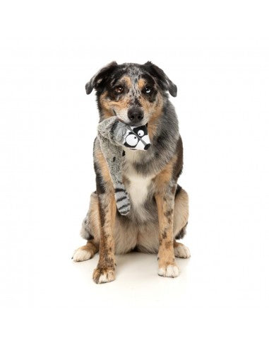FuzzYard The Yeetz Run Along Racoon Plush Dog Toy with Squeaker