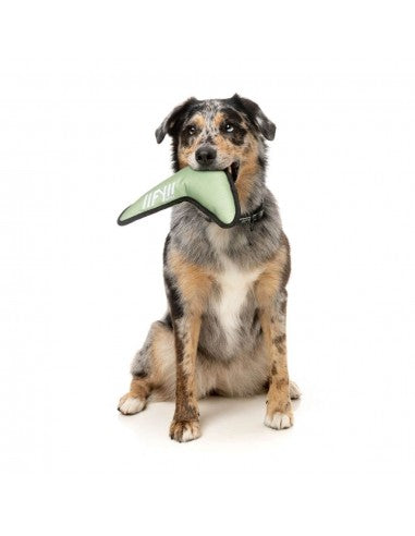 FuzzYard FY Active Flyer Boomerang Dog Toy in Khaki