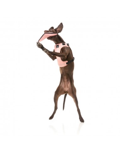 Flying dog toy FuzzYard FY Active Flyer, peach