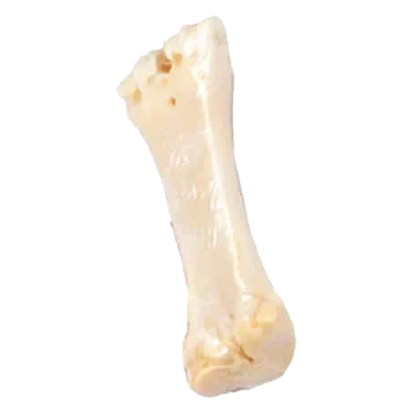 Natural Calcium Bone for Dogs