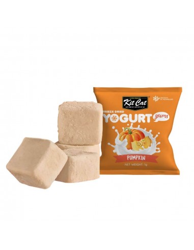 Cat Treats Kit Cat Yogurt Yums Pumpkin 10 g