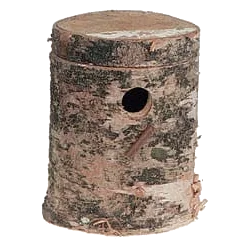 Birch bird nest