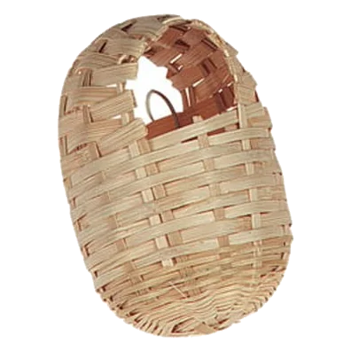 Small exotic cane bird nest