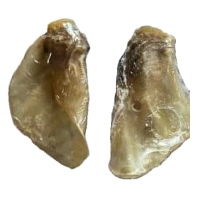 Packed veal ear dog chew