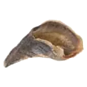 Cow Hooves for Dogs, Bag of 10