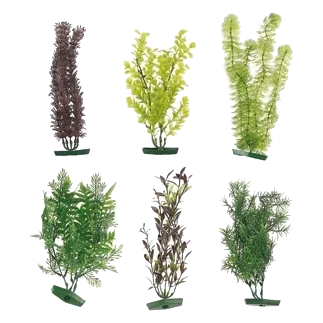 Assorted large aquarium plant, 30 cm