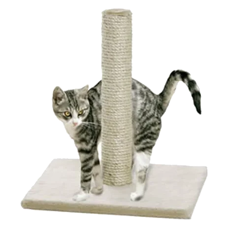 Lisa cat scratching post, beige