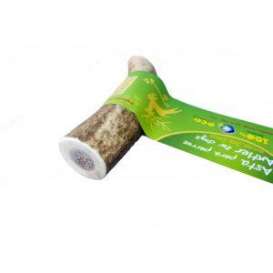 Deer antler dog chew, size XS