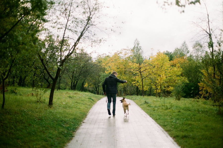 Hombre paseando a su perro por un camino entre árboles