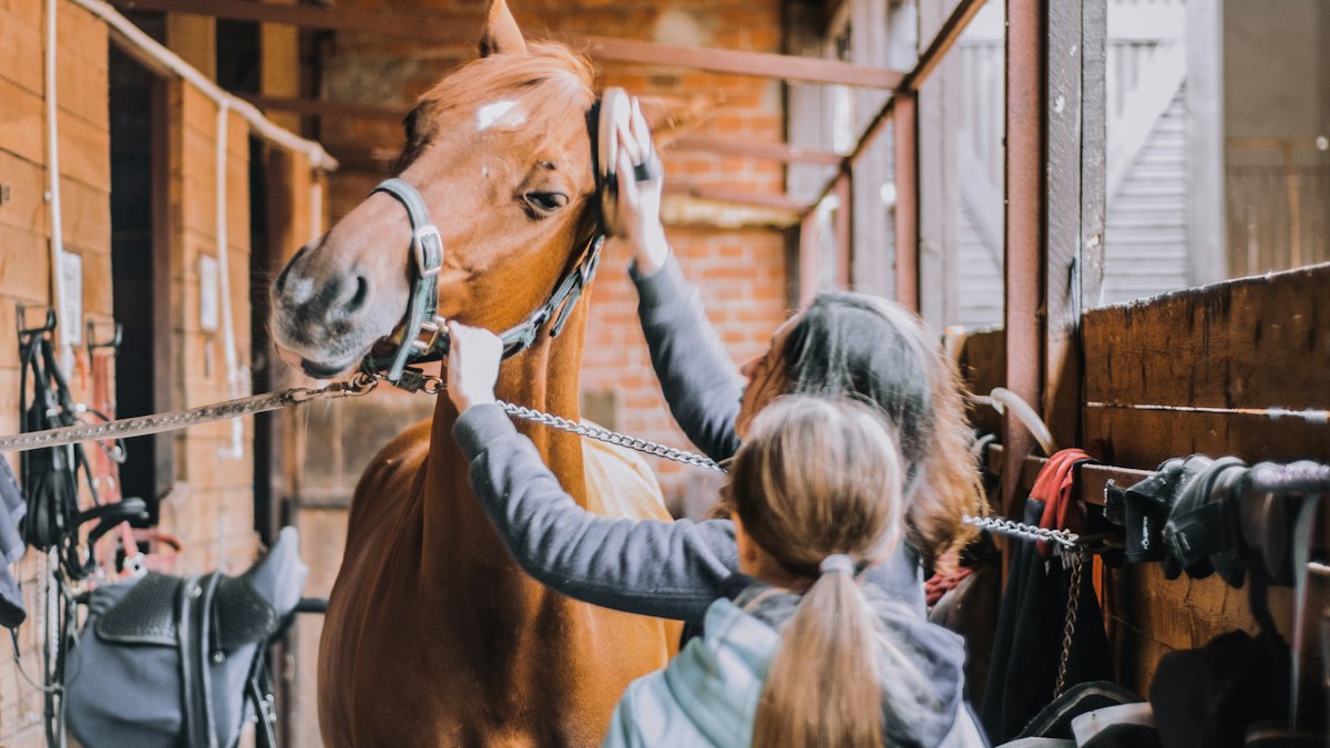 Chica con chaqueta azul sujetando un caballo