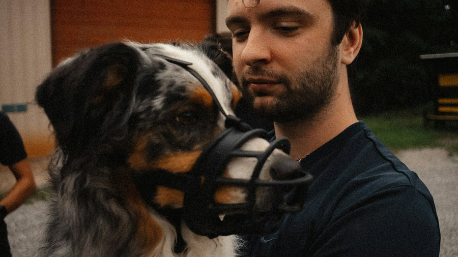 Hombre con un perro que lleva bozal