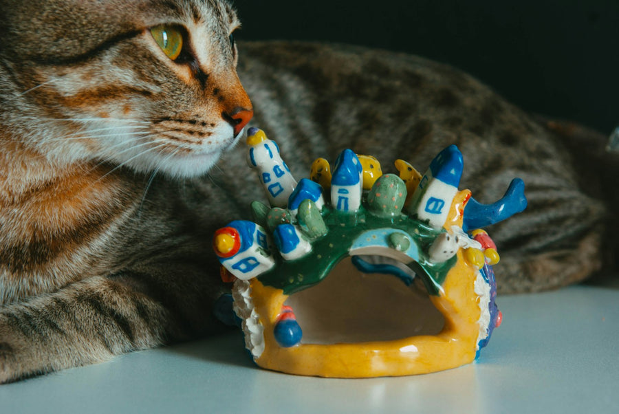 Gato jugando con un juguete sobre una mesa