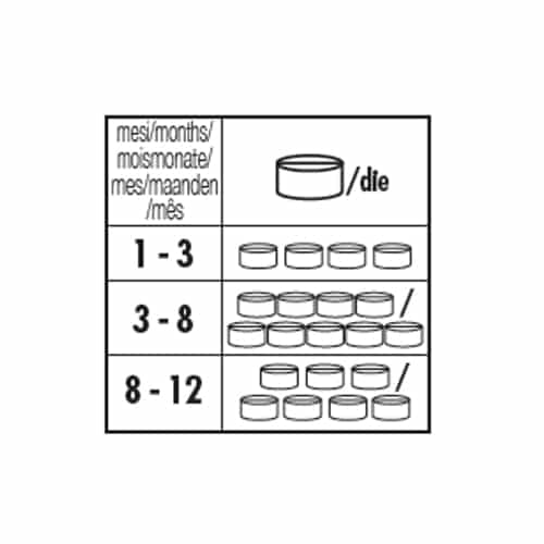 Schesir chicken fillets with aloe wet kitten food, 140 g tin – image 2