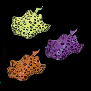Aqua Lumo stingray aquarium ornament