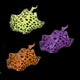 Aqua Lumo stingray aquarium ornament