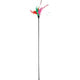 Feather duster cat toy