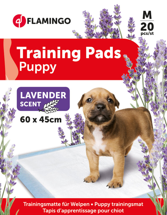 Puppy training pads T2 with lavender scent