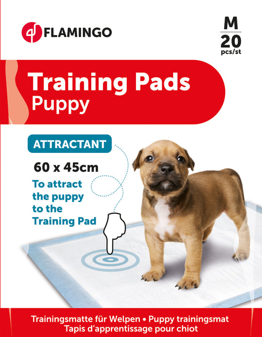 Puppy training pads with attractant, size 2