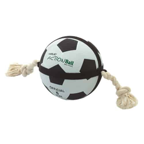 Actionbal dog ball, 22 cm