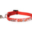 Nanou kitten collar, 15–22 cm, 10 mm, assorted – image 2