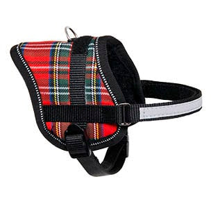 Teeny red dog harness, 36–46 cm