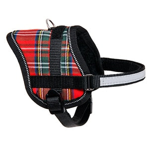 Teeny red dog harness, 31–40 cm
