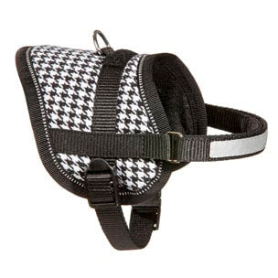 Teeny black and white dog harness, 26–35 cm