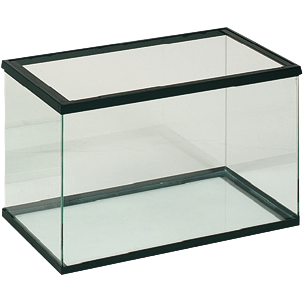 Black glass aquarium