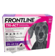 Frontline Tri-Act spot-on for dogs 20–40 kg, 6 pipettes