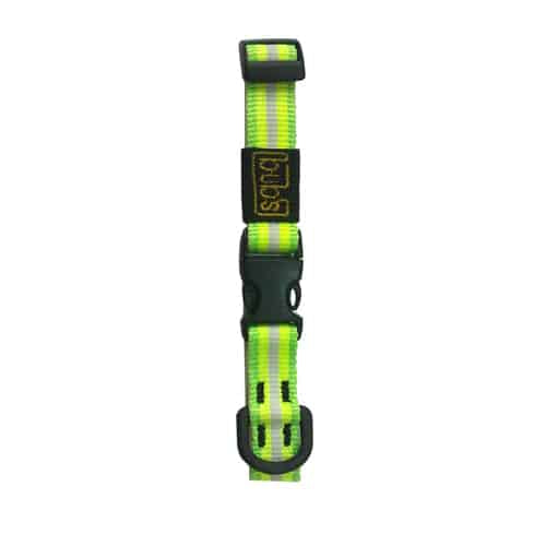 Dog collar, size 2 (medium)