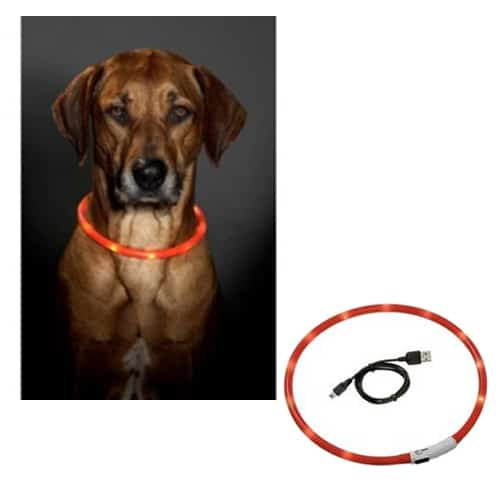 Orange LED dog collar