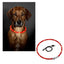Red LED dog collar
