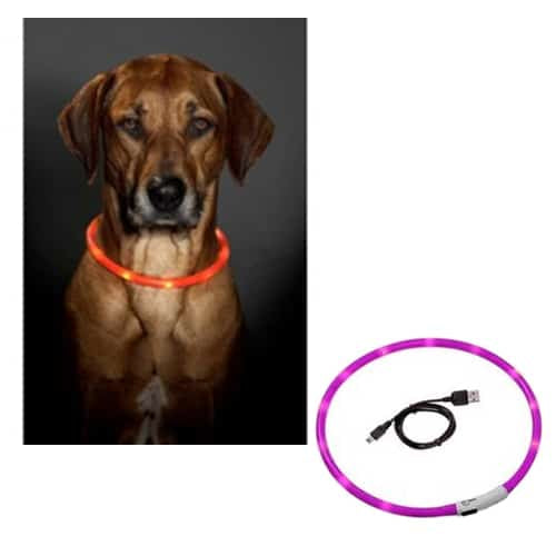 Pink LED dog collar