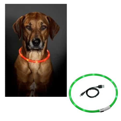 Green LED dog collar